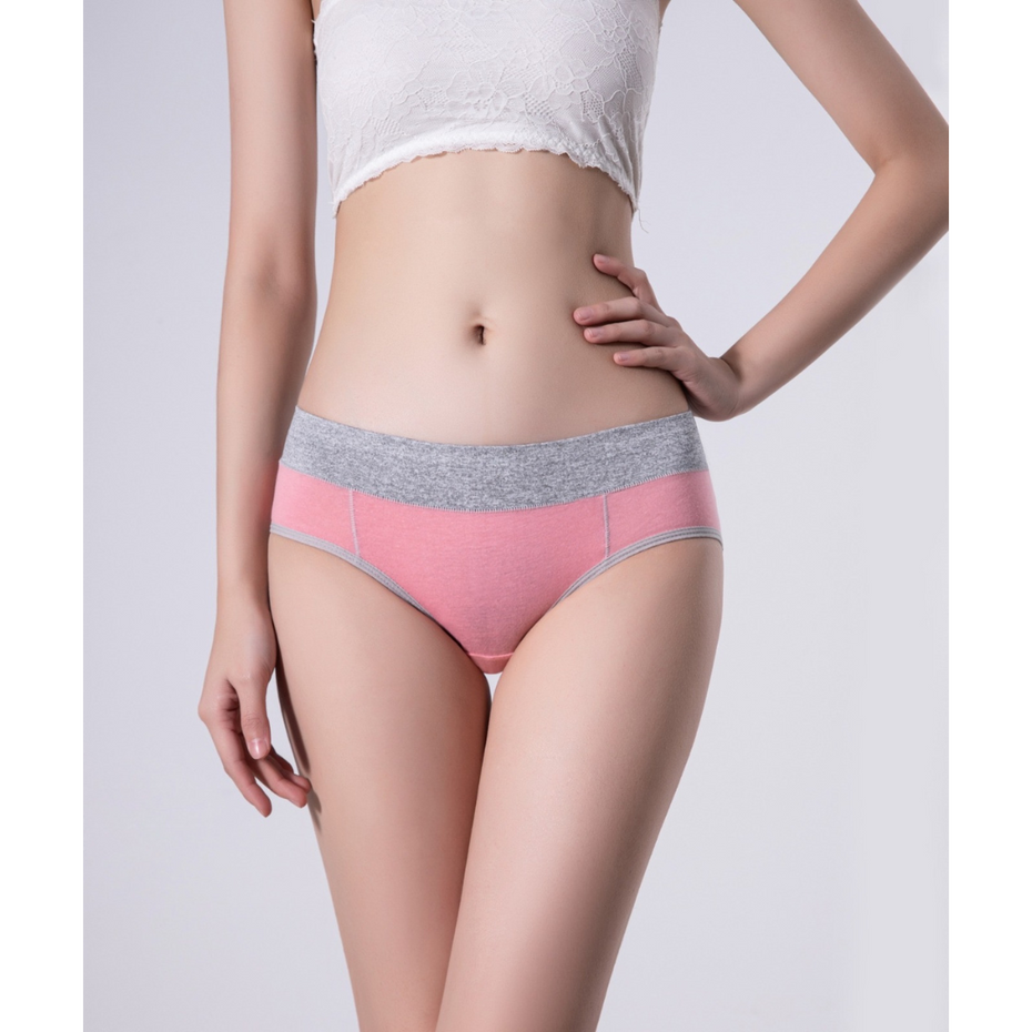 Pleasing Strings Women's Cotton Underwear High Waist Stretch Briefs Soft Underpants Set of 3