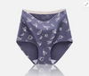 Pleasing Strings Women's Boyshort Floral Print Cotton Underwear Pack of 4